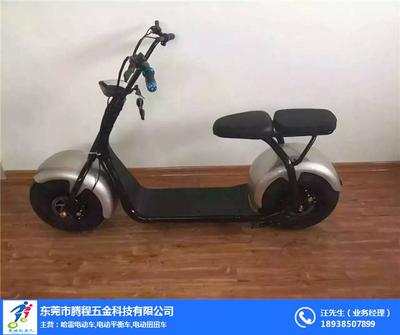 河池哈雷电动车批发_腾程五金科技_哈雷电动车
