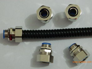 ltcm b12铜镀镍接头,dn20蛇皮管接头,ltcm b12铜镀镍接头,dn20蛇皮管接头生产厂家,ltcm b12铜镀镍接头,dn20蛇皮管接头价格